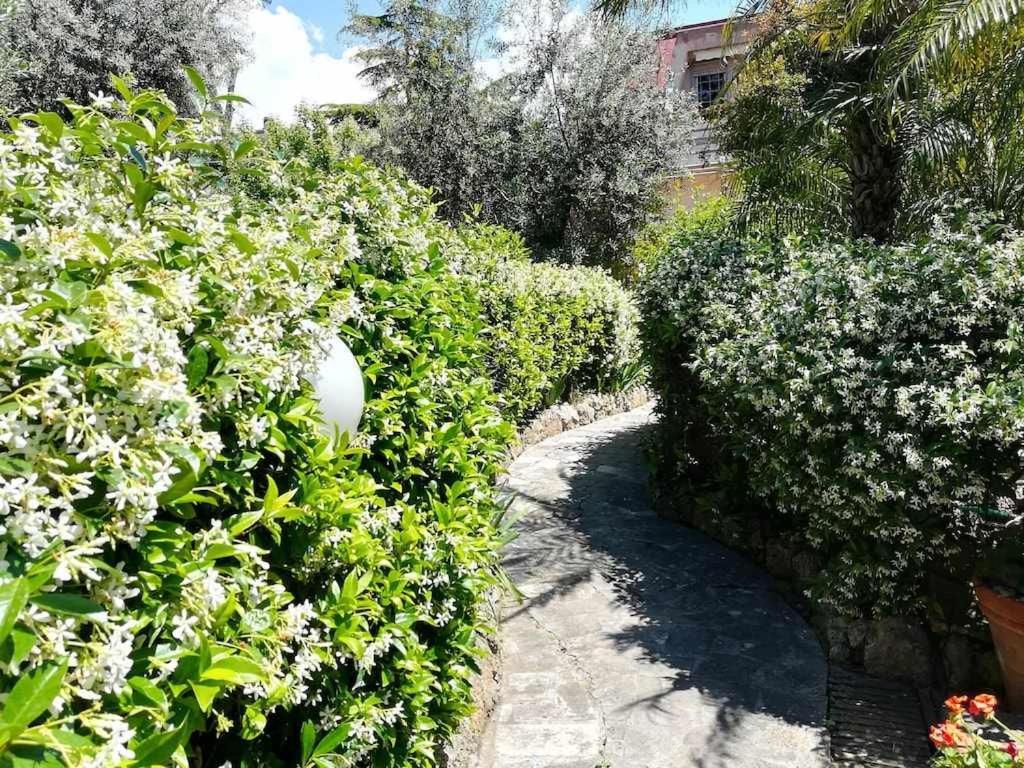 Casa Dinky Attico Con Terrazza Vista Mare Formia Exterior foto